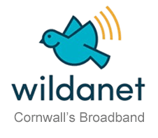 head-logo2-removebg-preview